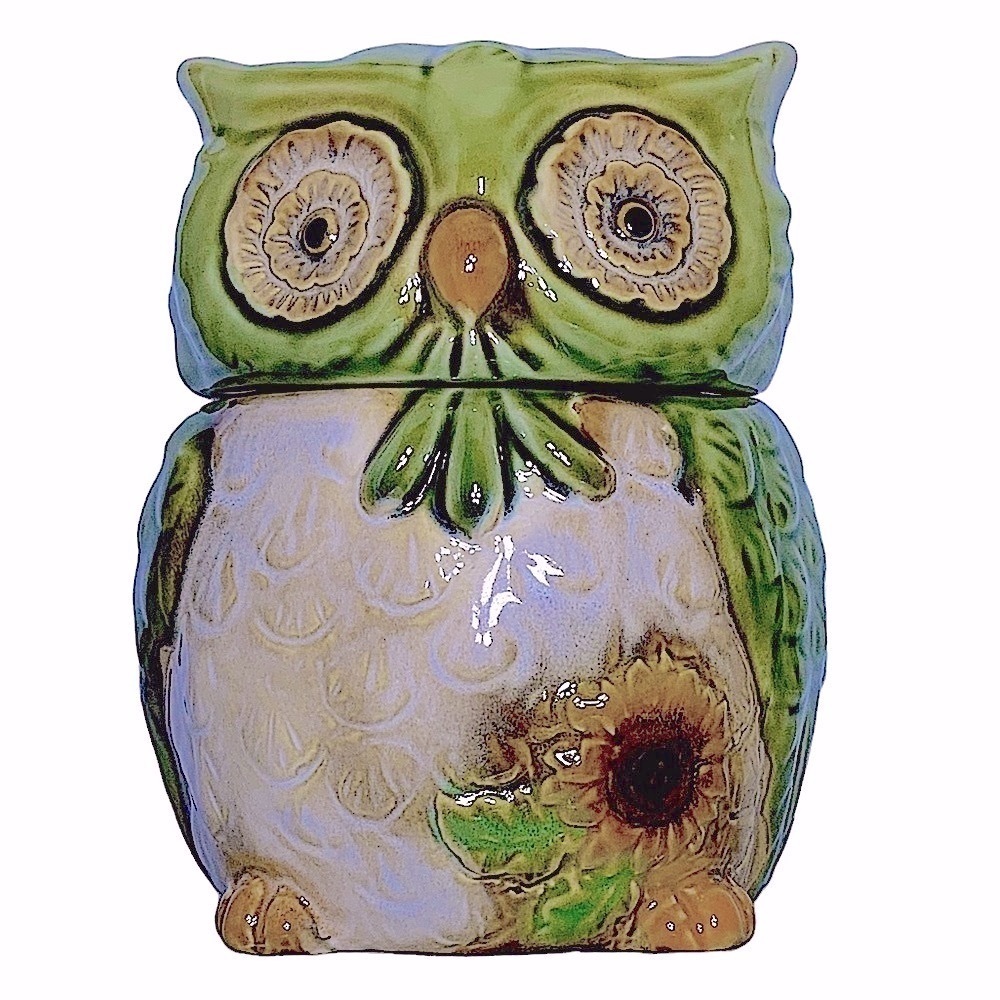 Owl Canister Jar Decorative Storage Hand Painted Ceramic Green Functional Art